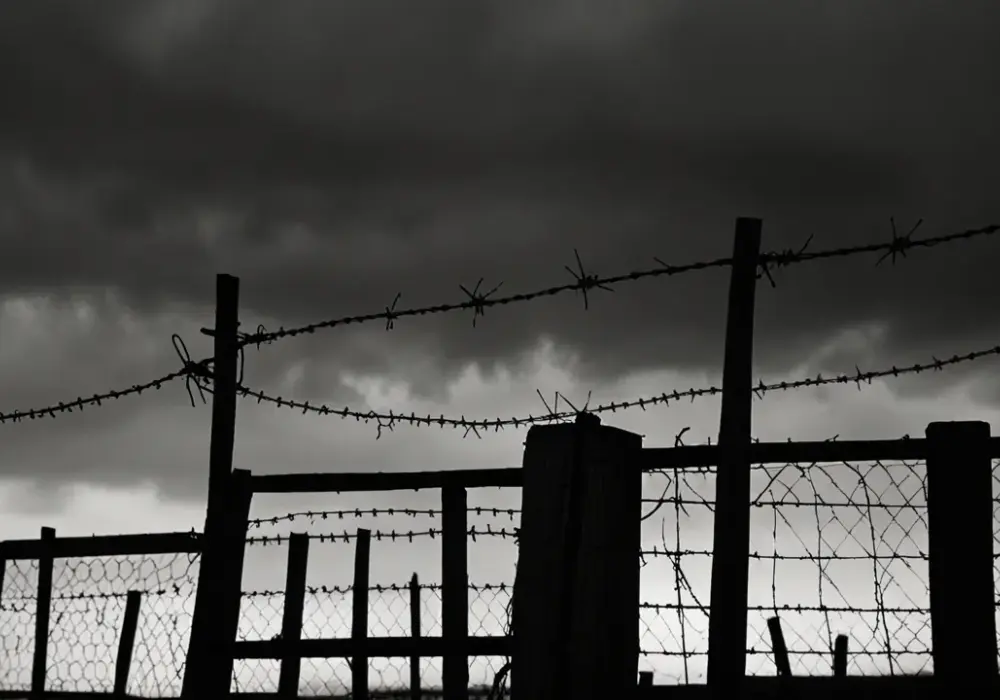 Holokaust: Fakty i mity o największej zbrodni XX wieku. Czym był?