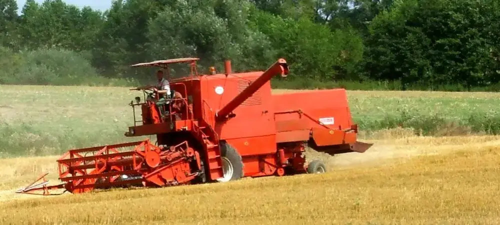 Najemny robotnik rolny: Kluczowa rola w gospodarstwie wiejskim