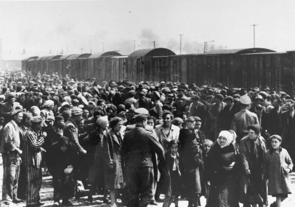 Ile osób zginęło w Auschwitz-Birkenau? Prawda o ofiarach holokaustu