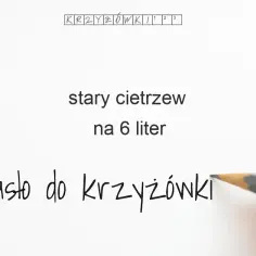Stary cietrzew w krzyżówce - rozwiązanie trudnego hasła