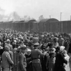 Co stało się z esesmanami po wojnie? Losy oprawców Auschwitz