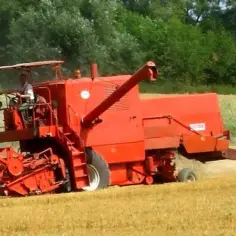 Najemny robotnik rolny: Kluczowa rola w gospodarstwie wiejskim