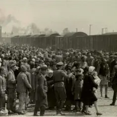 Geneza nazwy Auschwitz - skąd wzięła się nazwa obozu?