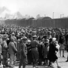 Czym się różni Auschwitz od Birkenau? Kluczowe fakty i historie