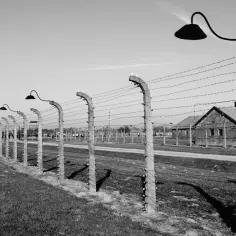 Nieznane oblicze tyrana: 10 zaskakujących ciekawostek o Hitlerze