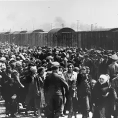 Ile osób zginęło w Auschwitz-Birkenau? Prawda o ofiarach holokaustu