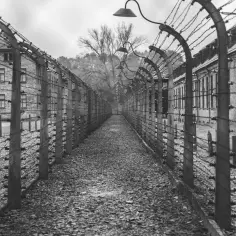 Co oznacza NSDAP i jak ta partia doprowadziła do Holocaustu?