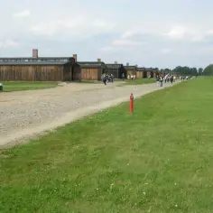 Jak zostać przewodnikiem w Auschwitz - wymagania i proces aplikacji