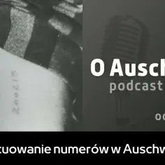 Jak tatuowano w Auschwitz: brutalna historia tatuaży więźniów