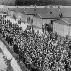 Czy Twój przodek był w Dachau? Jak można odnaleźć listę więźniów?