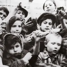 Gdzie obejrzeć film Położna z Auschwitz? Sprawdź aktualne opcje