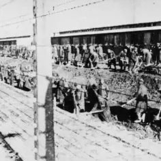Co oznacza Auschwitz-Birkenau? Prawda o obozie i jego historii