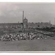 75 rocznica Auschwitz kiedy: Pamięć o tragedii, która nie może zniknąć