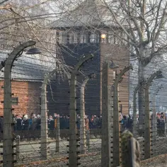 Ile kosztuje wstęp do obozu Auschwitz? Poznaj wszystkie opłaty i zniżki