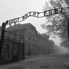 Kiedy powstał Auschwitz-Birkenau? Historia, która wstrząsa światem