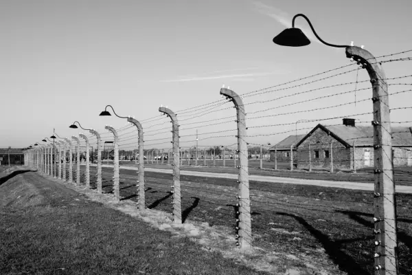 Nieznane oblicze tyrana: 10 zaskakujących ciekawostek o Hitlerze